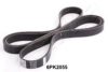 SSANG 119971892 V-Ribbed Belts